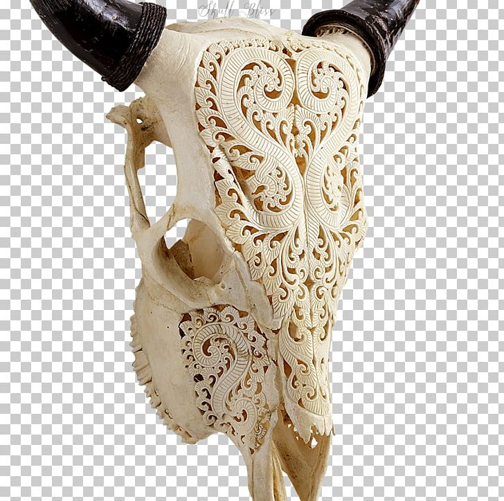 Animal Skulls Cattle Bone Human Skeleton PNG, Clipart, Animal, Animal Skulls, Bone, Cattle, Esophagus Free PNG Download