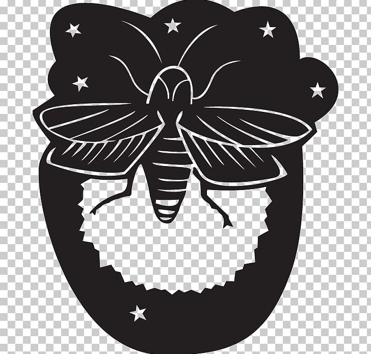 Photography Firefly Art PNG, Clipart, Animals, Art, Arthropod, Black And White, Butterfly Free PNG Download