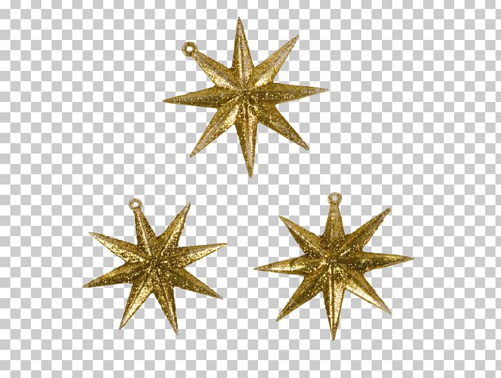 Star Christmas Ornament PNG, Clipart, Animaatio, Blog, Body Jewelry, Brass, Child Free PNG Download