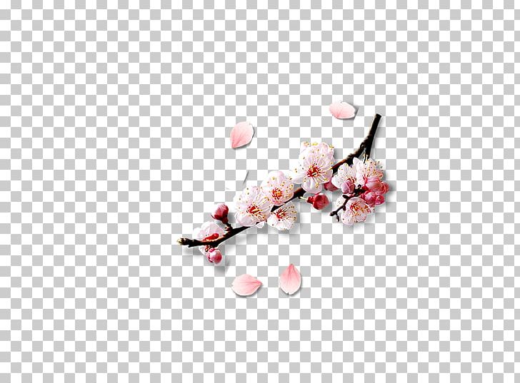 Petal Peach Blossom Computer File PNG, Clipart, Blossom, Branch, Cherry Blossom, Computer Wallpaper, Decorative Elements Free PNG Download