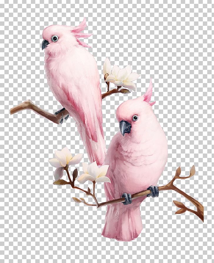 Bird Major Mitchell's Cockatoo Flamingos Pink PNG, Clipart, Animal, Art, Beak, Bird, Birdcage Free PNG Download