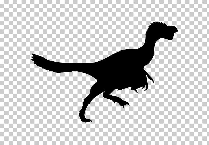 Dinosaur Tyrannosaurus Velociraptor Brachiosaurus Citipati PNG, Clipart, Allosaurus, Animal, Apatosaurus, Beak, Bird Free PNG Download