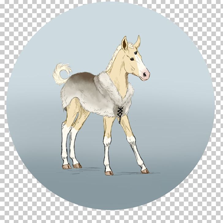 Foal Mustang Colt Stallion Mare PNG, Clipart, Bridle, Colt, Donkey, Foal, Halter Free PNG Download