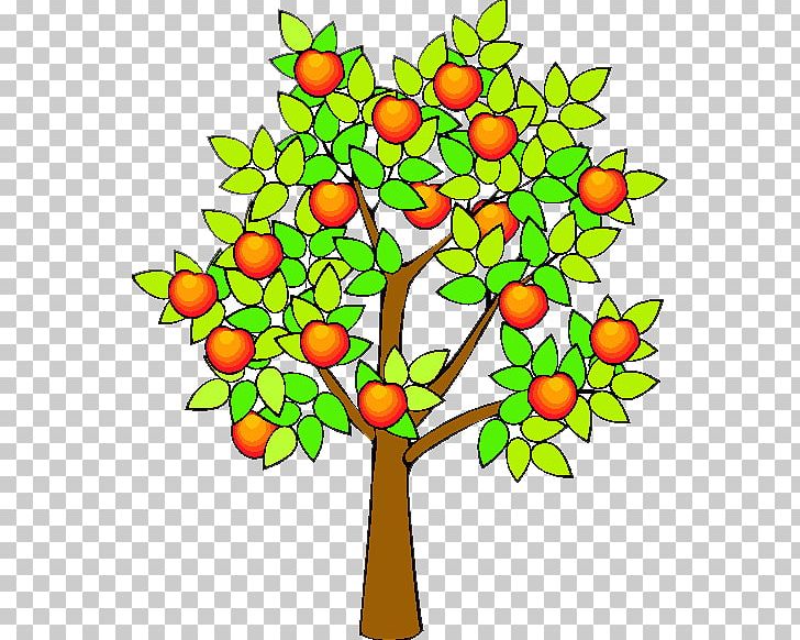 Drawing Apple Fruit Tree PNG, Clipart, Apple, Art, Artwork, Branch, Clip Art Free PNG Download