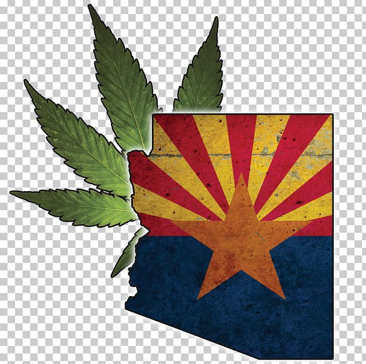 State Flag Arizona Department Of Education Department Of Child Safety PNG, Clipart, Arizona, Arizona Department Of Education, Cannabis In Arkansas, Desktop Wallpaper, Flag Free PNG Download