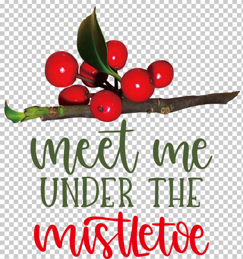 Meet Me Under The Mistletoe Mistletoe PNG, Clipart, Aquifoliaceae, Aquifoliales, Biology, Cranberry, Holly Free PNG Download