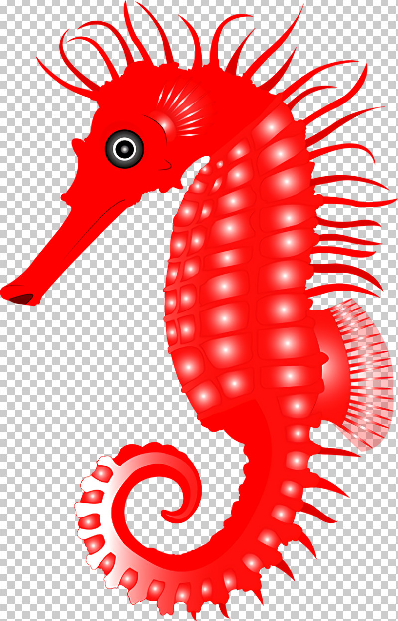 Seahorses Fish Area Geometry Biology PNG, Clipart, Area, Biology, Fish, Geometry, Mathematics Free PNG Download