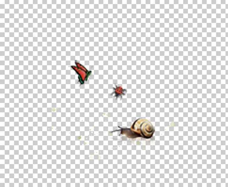 Butterfly Snail Escargot Animal PNG, Clipart, 3d Animation, Animal, Animal Material, Animation, Anime Character Free PNG Download