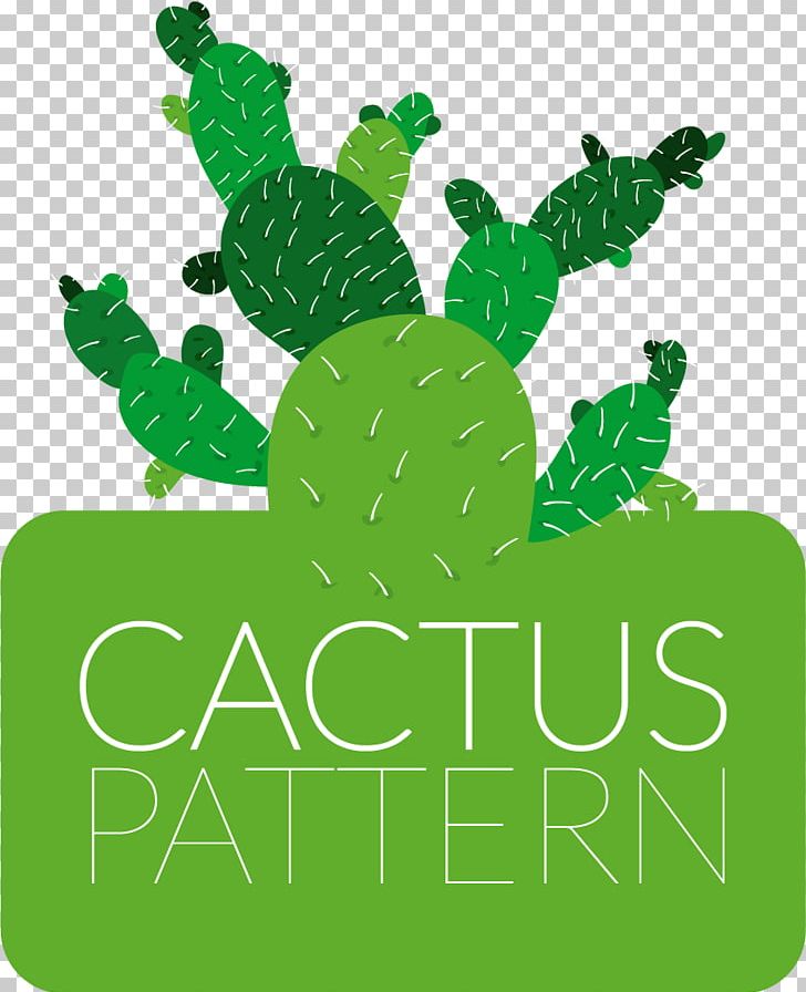 Cactus Flowers Drawing Cactaceae PNG, Clipart, Background Green, Botan, Cactus Vector, Frame, Grass Free PNG Download