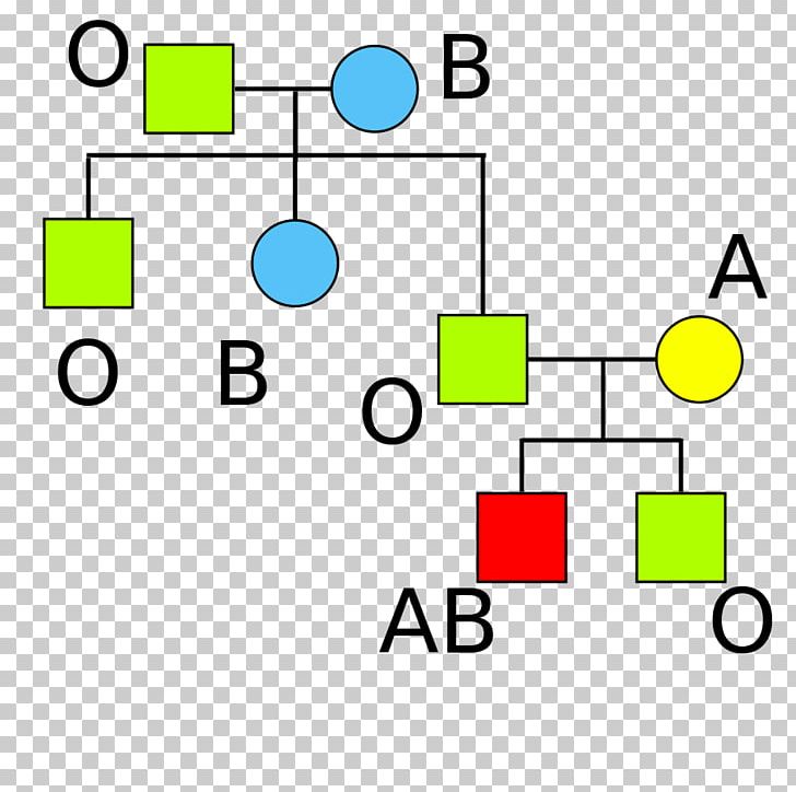 Hh Blood Group Blood Type Human Blood Group Systems Antigen Rh Blood Group System PNG, Clipart, Angle, Antibody, Antigen, Area, Blood Free PNG Download