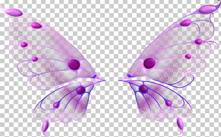 Portable Network Graphics JPEG PhotoScape Raster Graphics Editor PNG, Clipart, Asas, Butterflies And Moths, Butterfly, Fairy, Image Editing Free PNG Download