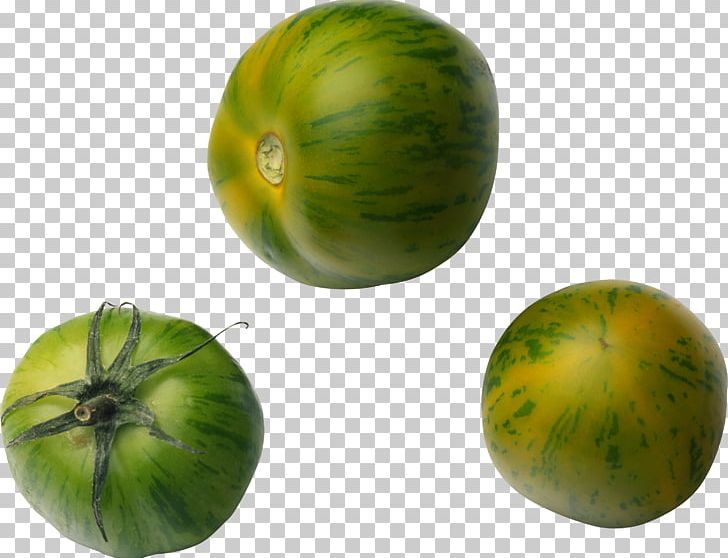 Tomato Juice Fried Green Tomatoes Tomatillo Pumpkin PNG, Clipart, Auglis, Bush Tomato, Cucumber Gourd And Melon Family, Food, Fried Green Tomatoes Free PNG Download