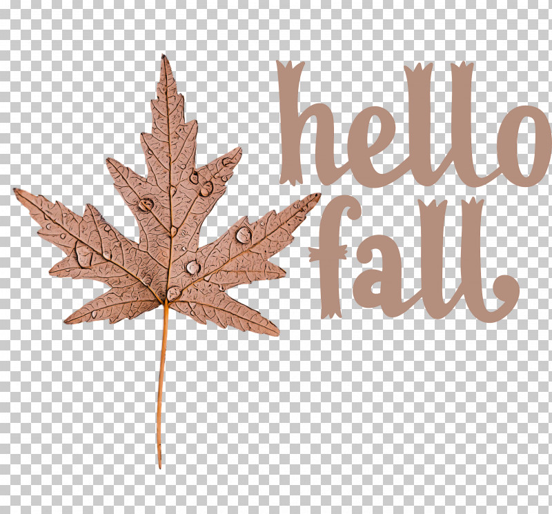 Hello Fall Fall Autumn PNG, Clipart, Autumn, Biology, Fall, Hello Fall, Leaf Free PNG Download