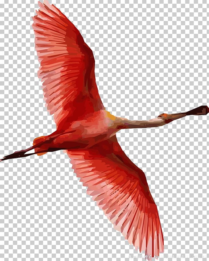 flamingo flying clip art