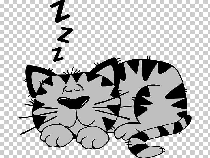 Cat Kitten Sleep PNG, Clipart, Big Cats, Black, Black, Carnivoran, Cartoon Free PNG Download