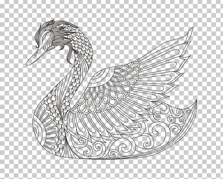 Cygnini Bird Coloring Book Drawing PNG, Clipart, Adult, Animals, Art, Beak, Child Free PNG Download