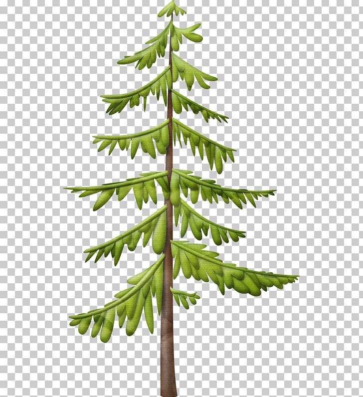 Fir Christmas Tree Christmas Ornament PNG, Clipart,  Free PNG Download