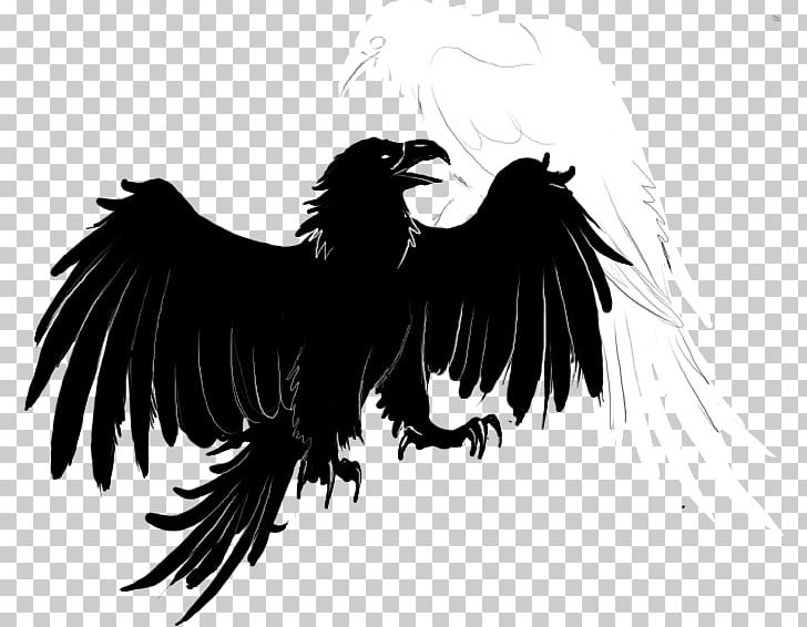 Rooster Bald Eagle Beak Vulture Feather PNG, Clipart, Animals, Bald Eagle, Beak, Bird, Bird Of Prey Free PNG Download