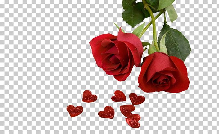 Valentine's Day Flower Bouquet Rose Desktop PNG, Clipart,  Free PNG Download
