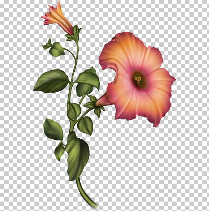 Floral Design Cut Flowers Hibiscus PNG, Clipart, Annual Plant, Botany, Cut Flowers, Dreamland, Fantasy Free PNG Download