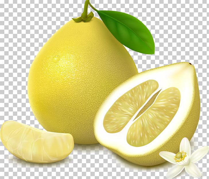 Pomelo Grapefruit Illustration PNG, Clipart, Cartoon, Citric, Citrus, Food, Fruit Free PNG Download