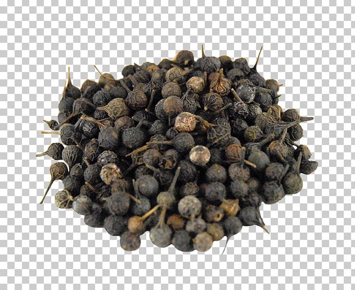 Cubeb Gin Black Pepper Coriander Spice PNG, Clipart, Black Pepper, Bors, Coriander, Cubeb, Fennel Flower Free PNG Download