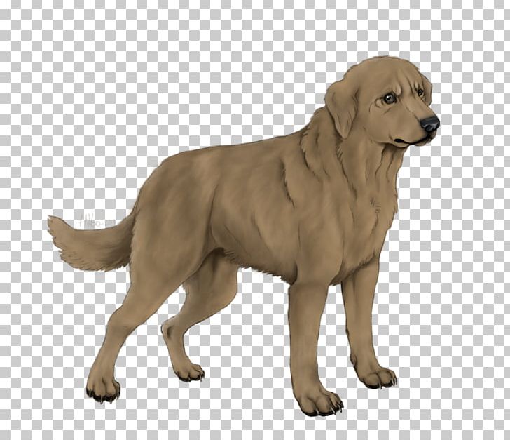 Golden Retriever Labrador Retriever Ancient Dog Breeds Companion Dog PNG, Clipart, Ancient Dog Breeds, Art, Artist, Breed, Carnivoran Free PNG Download