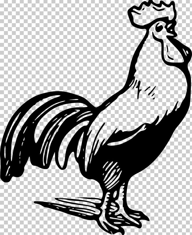 Plymouth Rock Chicken Rooster Black And White PNG, Clipart, Art, Artwork, Beak, Bird, Black Free PNG Download