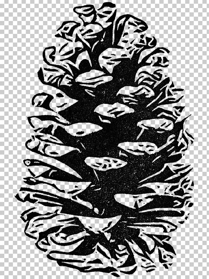 Drawing Art Conifer Cone Pinaceae PNG, Clipart, Art, Art Museum, Black, Black And White, Circle Free PNG Download