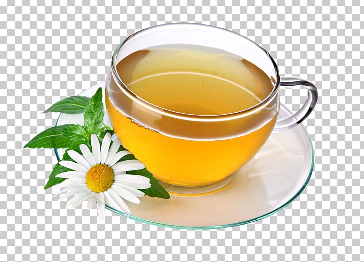 Green Tea Herbal Tea Drink PNG, Clipart, Assam Tea, Black Tea, Caffeine, Camellia Sinensis, Chamomile Free PNG Download