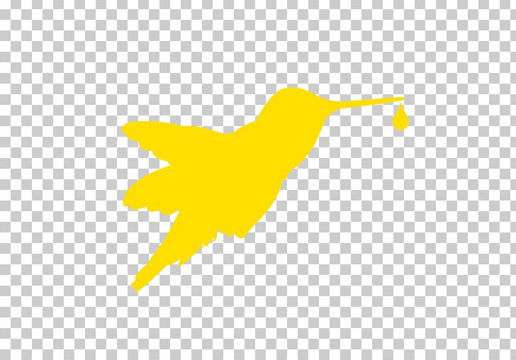 Hummingbird Beak App Store Apple PNG, Clipart, Apk, Apple, App Store, Beak, Bird Free PNG Download
