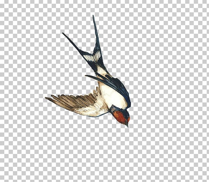 Watercolor Painting Duck PNG, Clipart, Art, Arts, Beak, Bird, Bird Bird Free PNG Download