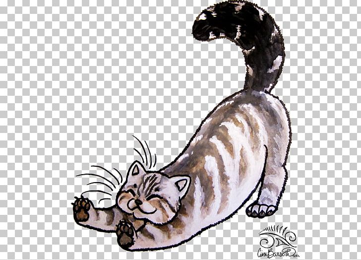 Whiskers Tiger Tabby Cat Wildcat PNG, Clipart, Animals, Art, Big Cat, Big Cats, Canidae Free PNG Download