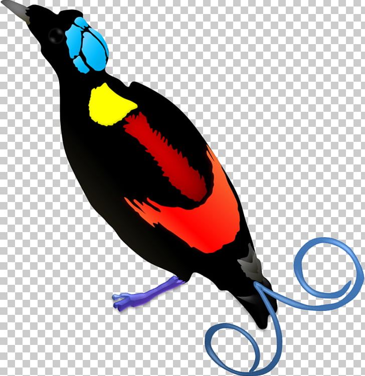 Wilson's Bird-of-paradise New Guinea Raggiana Bird-of-paradise PNG, Clipart, Animals, Artwork, Beak, Bird, Birdofparadise Free PNG Download