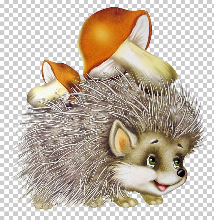 Hedgehog PNG, Clipart, Hedgehog Free PNG Download