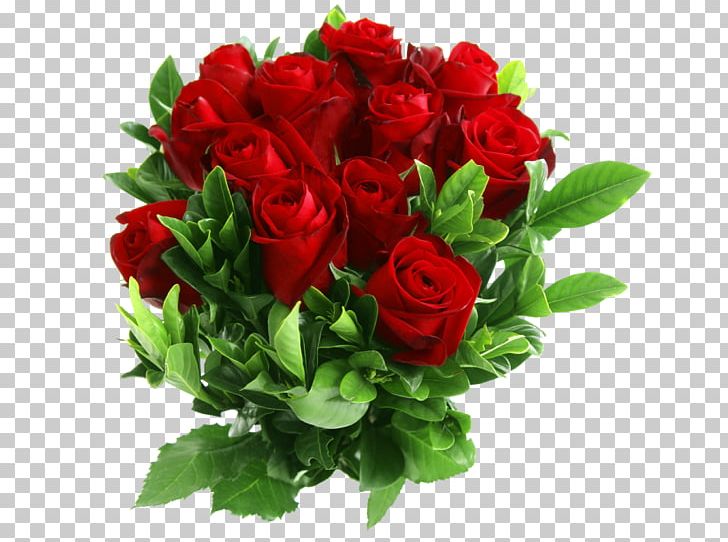 Rose Flower PNG, Clipart, Annual Plant, Cut Flowers, Download, Encapsulated Postscript, Floral Design Free PNG Download