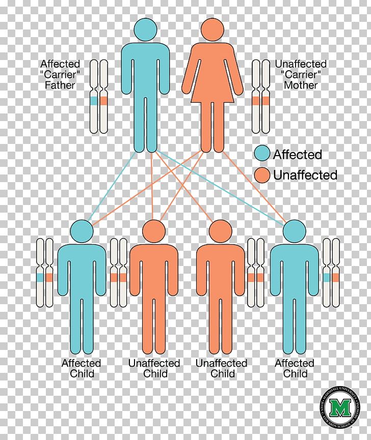 Severe Combined Immunodeficiency Adenosine Deaminase Deficiency Strimvelis Genetic Disorder Gene Therapy PNG, Clipart, Adenosine Deaminase, Adenosine Deaminase Deficiency, Area, Autosome, Brand Free PNG Download