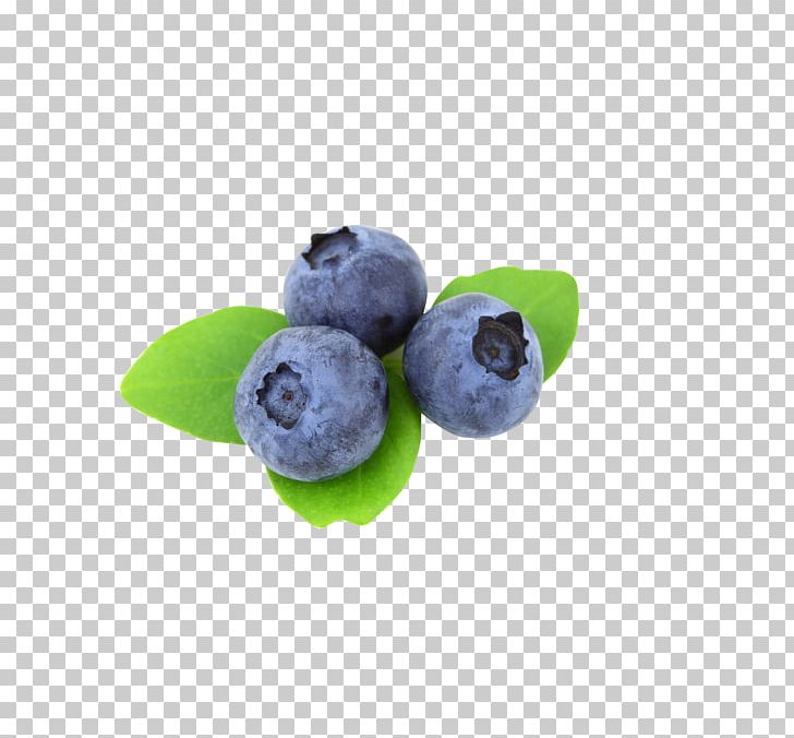 Blueberry Blackberry Fruit PNG, Clipart, Anime Eyes, Antioxidant, Berry, Bilberry, Blackberry Free PNG Download