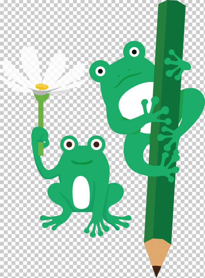 Tree Frog Frogs Cartoon Toad Green PNG, Clipart, Cartoon, Frog, Frogs, Green, Line Free PNG Download