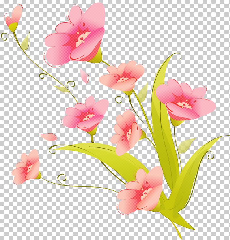 Flower Pink Cut Flowers Plant Petal PNG, Clipart, Cut Flowers, Flower, Pedicel, Petal, Pink Free PNG Download