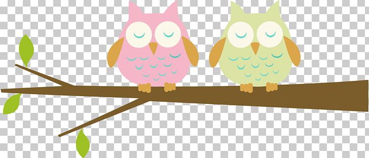 Baby Owls Bird Owl Babies PNG, Clipart, Animals, Baby Owl, Baby Owls, Barn Owl, Beak Free PNG Download