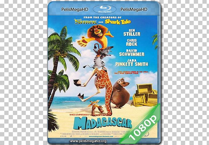 Film Poster DreamWorks Animation Madagascar PNG, Clipart,  Free PNG Download