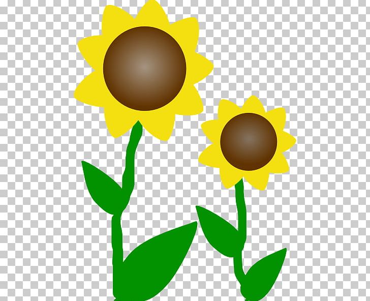 Flower PNG, Clipart, Artwork, Common Daisy, Common Sunflower, Daisy Family, Download Free PNG Download
