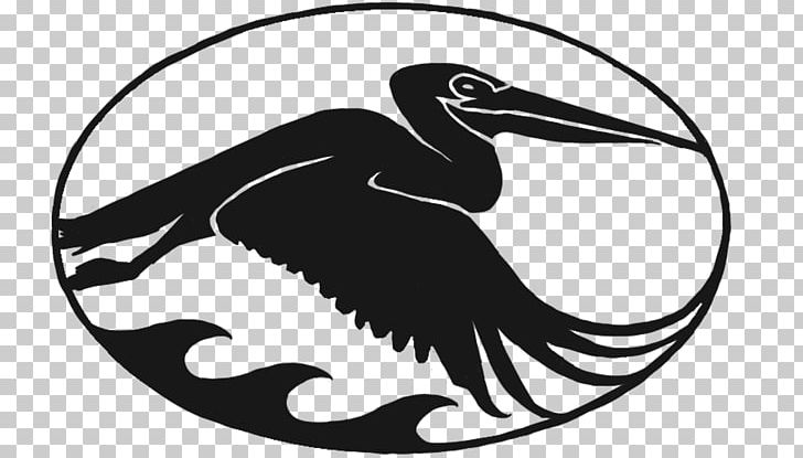 Health Insurance Insurance Agent Bird Beak PNG, Clipart, Agency, Beach, Black And White, Cygnini, Duck Free PNG Download