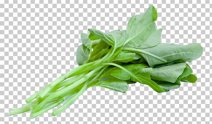 Juice Spinach Leaf Vegetable PNG, Clipart, Broccoli, Chard, Chinese Spinach, Choy Sum, Collard Greens Free PNG Download