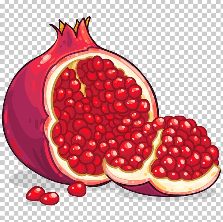 Pomegranate PNG, Clipart, Pomegranate Free PNG Download