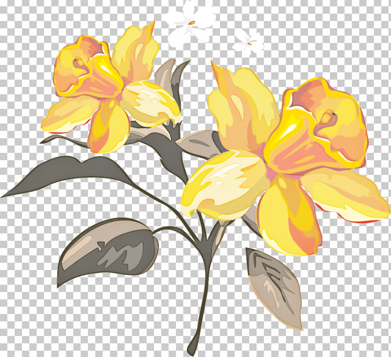 Flower Yellow Plant Petal Narcissus PNG, Clipart, Amaryllis Family, Cut Flowers, Flower, Herbaceous Plant, Narcissus Free PNG Download