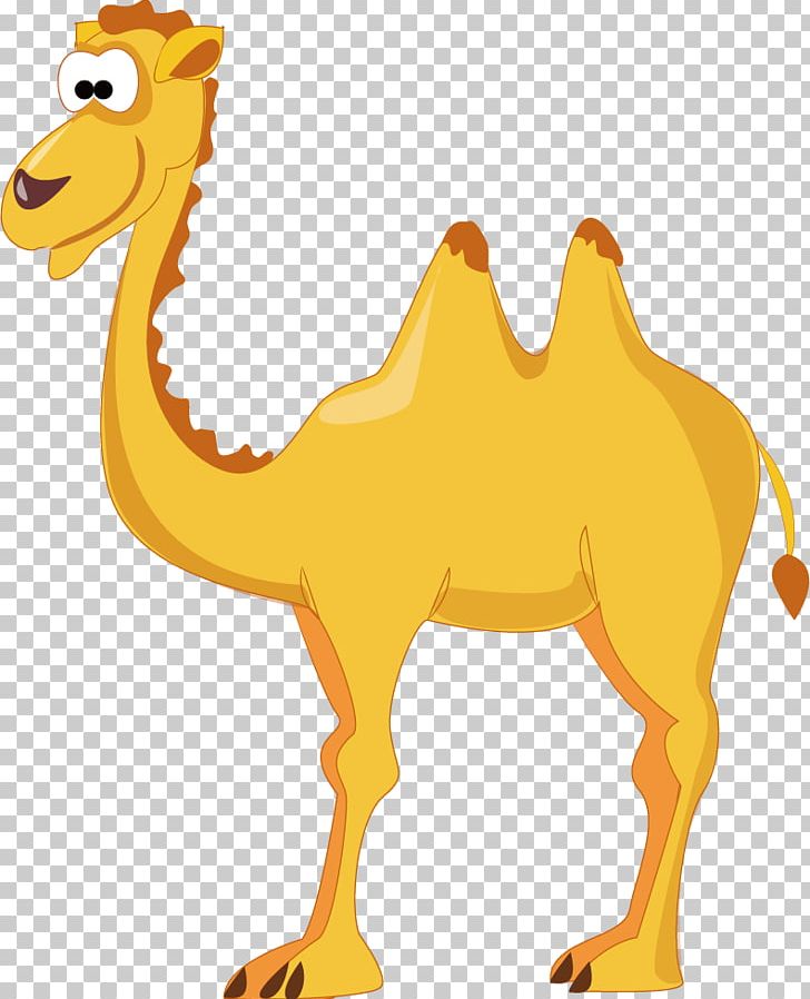 Camel Eid Al-Adha Eid Al-Fitr Sticker PNG, Clipart, Animal, Animal Figure, Animals, Arabian Camel, Camel Free PNG Download