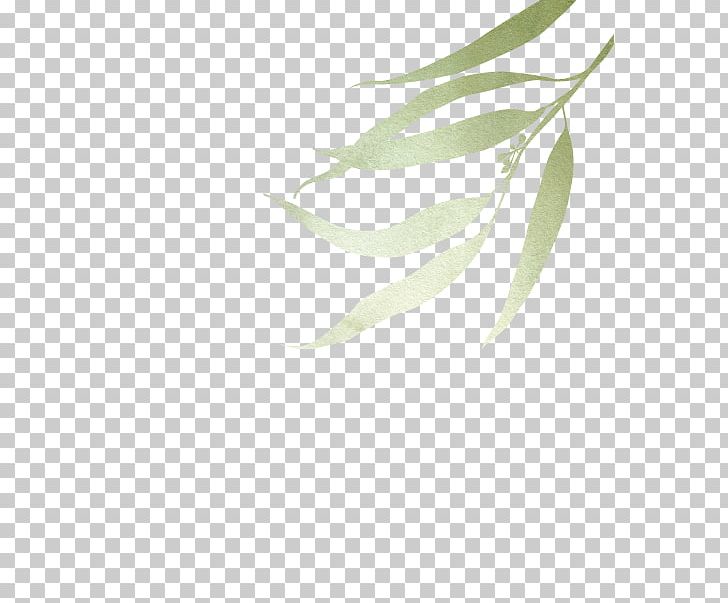 Twig Branch Leaf Plant Stem PNG, Clipart, Branch, Closeup, Leaf, Plant, Plant Stem Free PNG Download