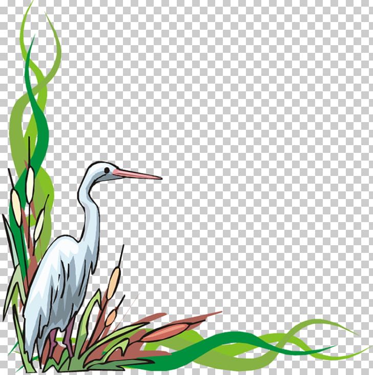 Heron Stork PNG, Clipart, Animaatio, Animals, Beak, Bird, Branch Free PNG Download